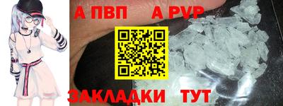 индика Бийск