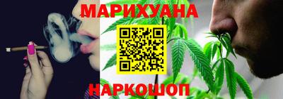 индика Бийск