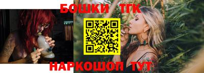 индика Бийск