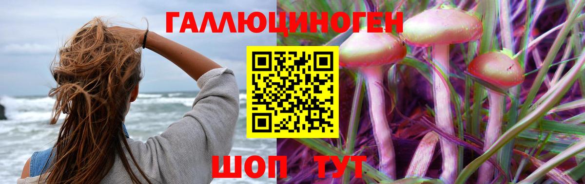 Псилоцибиновые грибы Magic Shrooms Кизилюрт